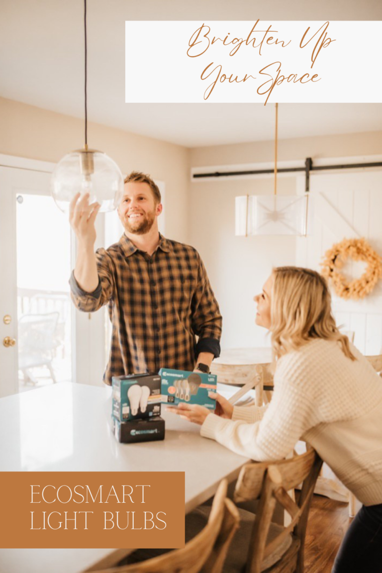 Ecosmart light bulbs the gibby home
