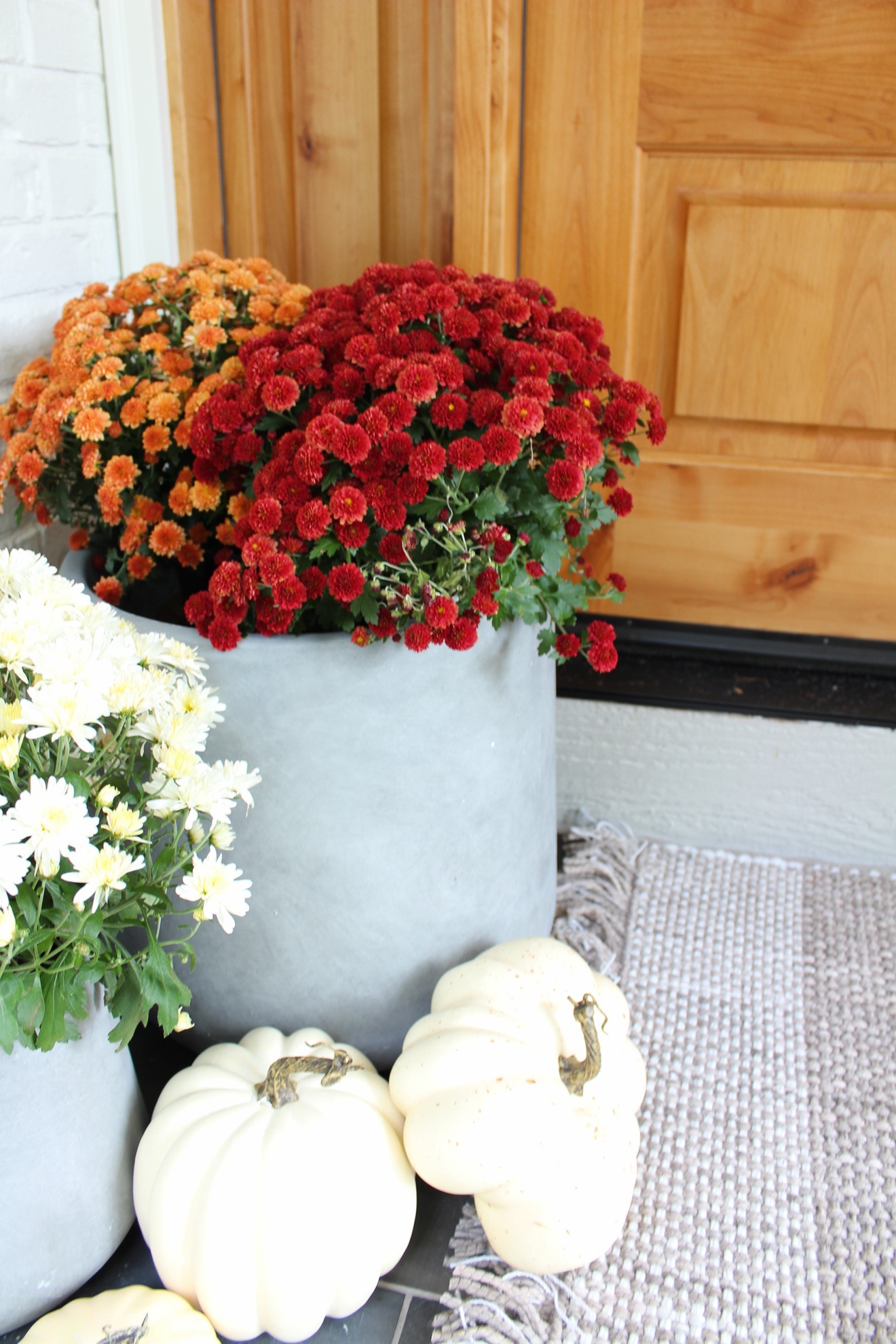 mums are a must for stunning fall front porch decor